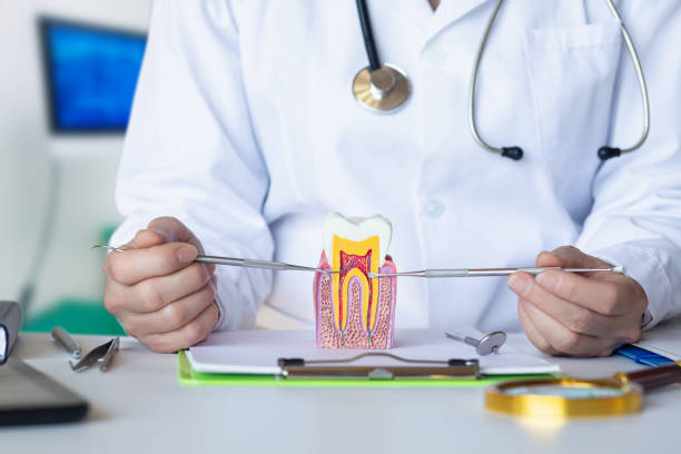 Best Emergency Tooth Extraction in Dalton, PA